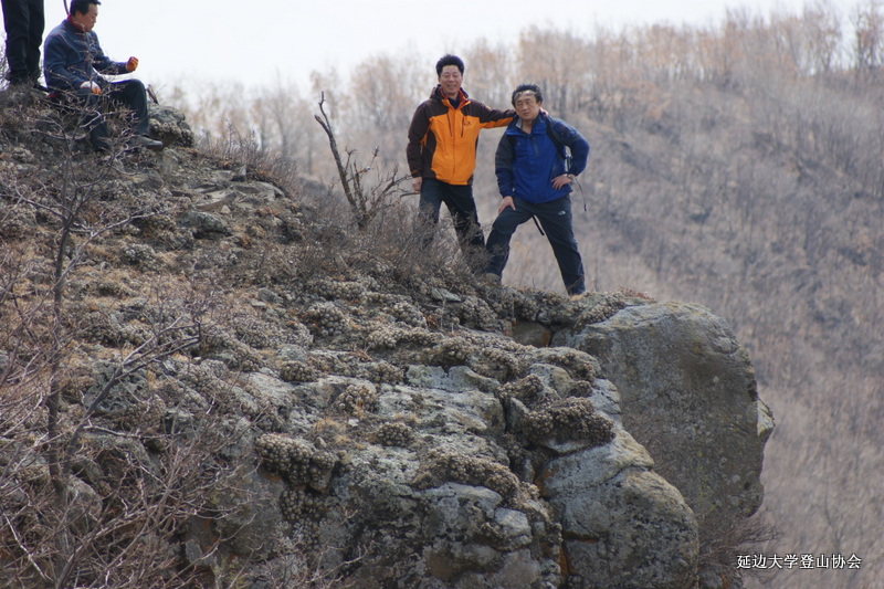 点击查看原图大小