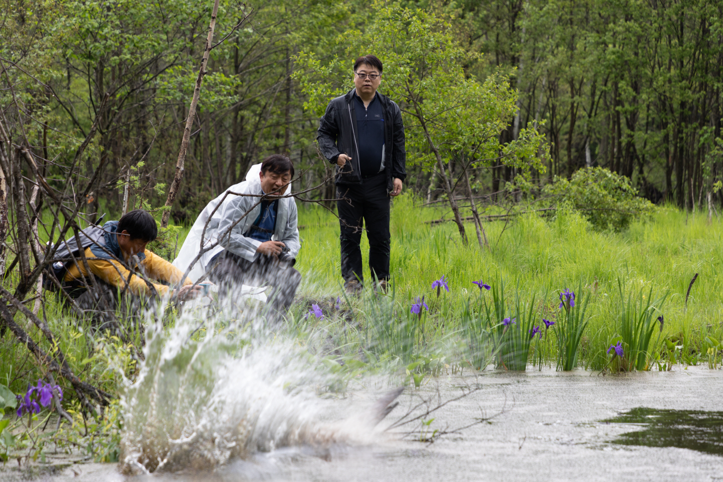 点击查看原图大小