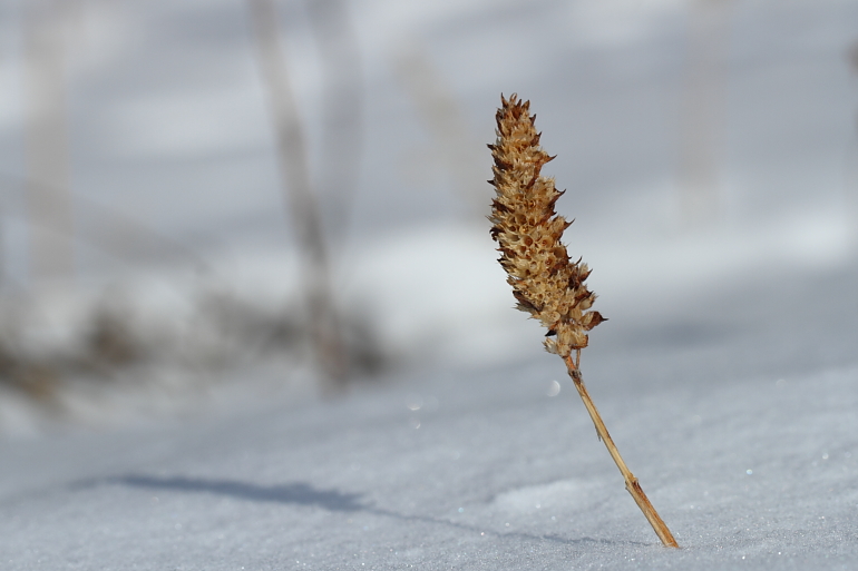 点击查看原图大小