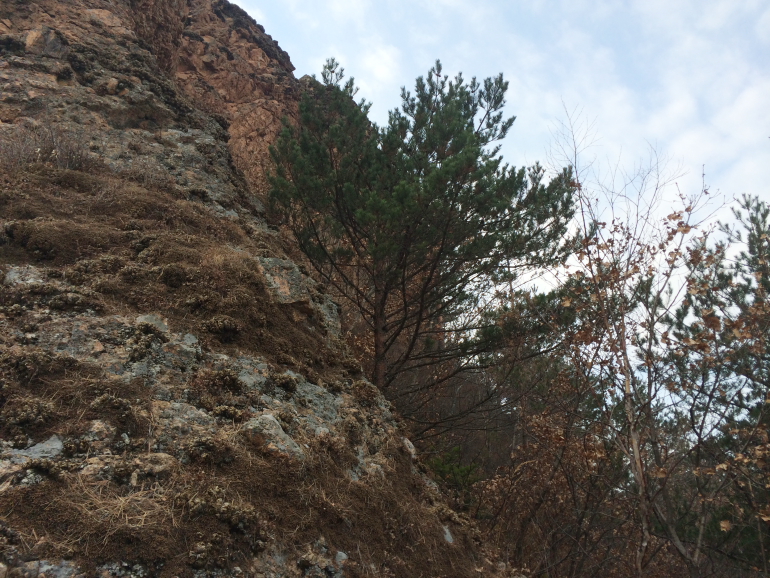 点击查看原图大小