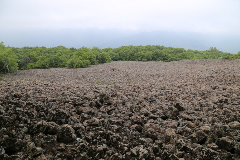 点击查看原图大小
