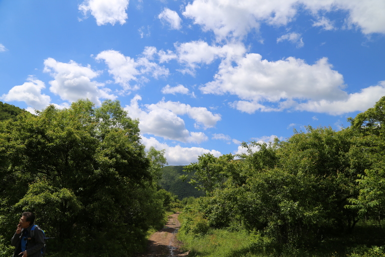 点击查看原图大小