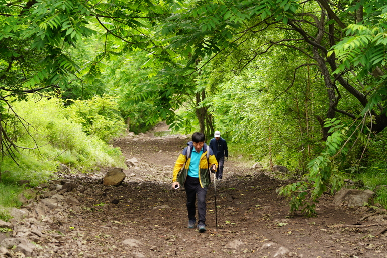点击查看原图大小