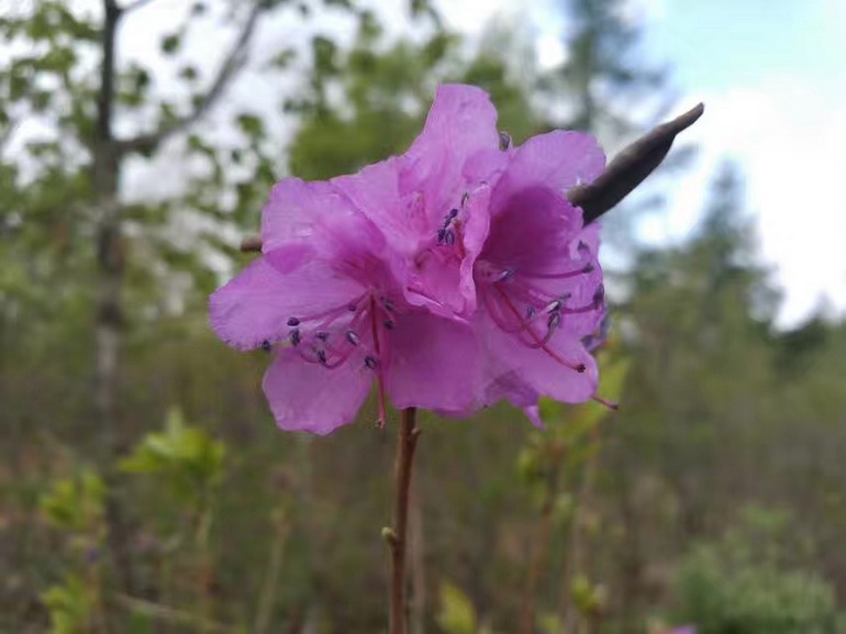 点击查看原图大小