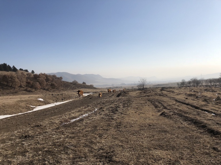 点击查看原图大小