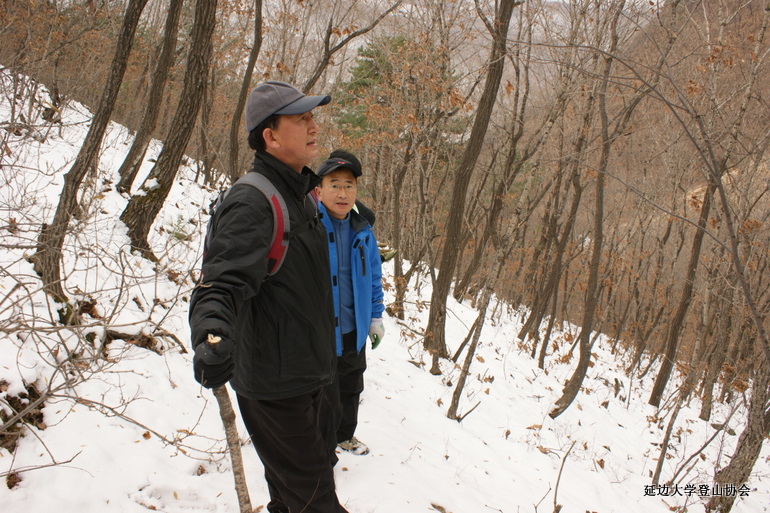 点击查看原图大小