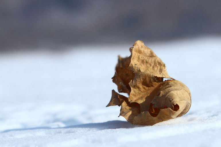 点击查看原图大小