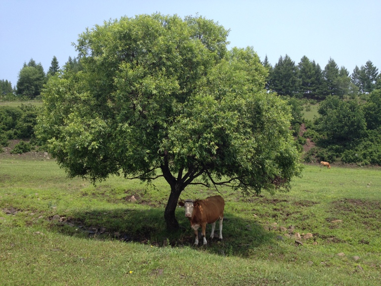 点击查看原图大小