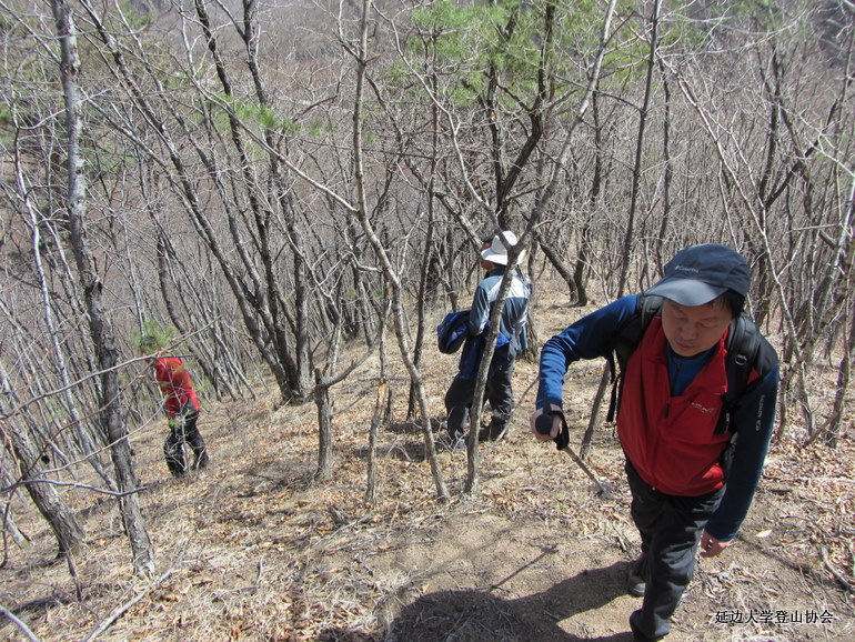 点击查看原图大小