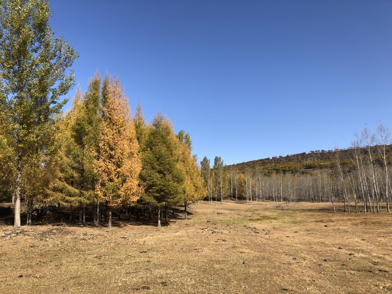 点击查看原图大小