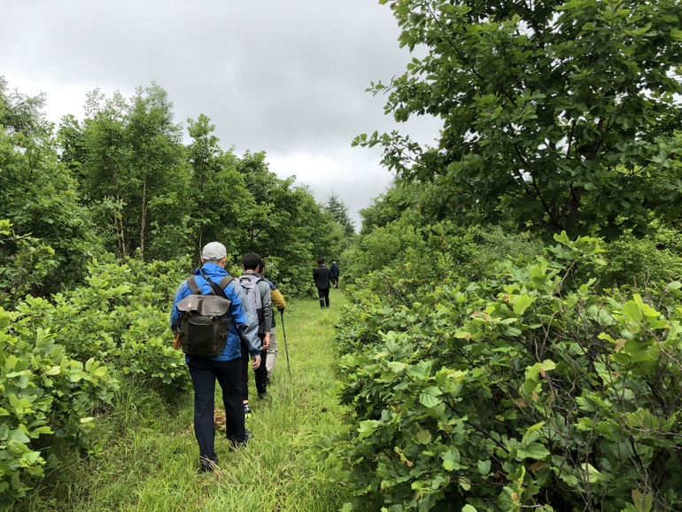 点击查看原图大小