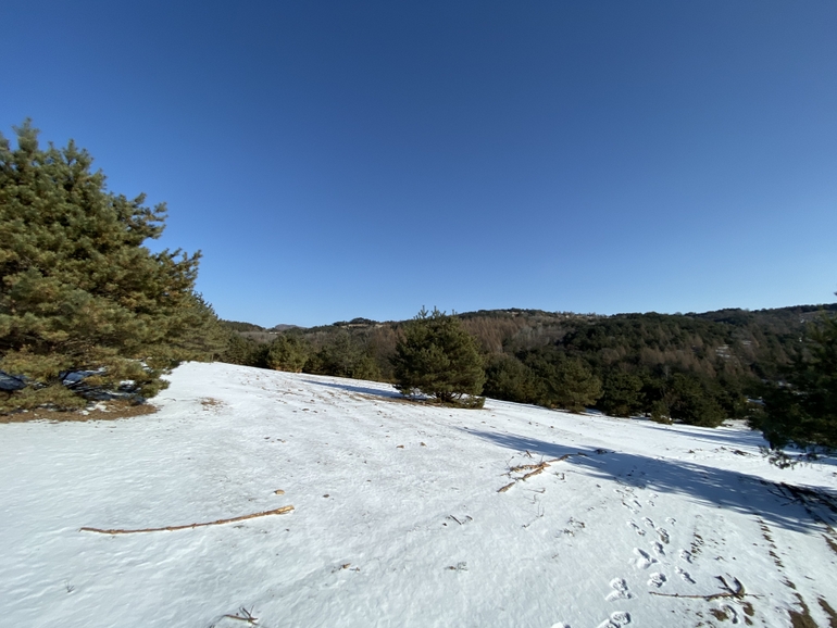 点击查看原图大小