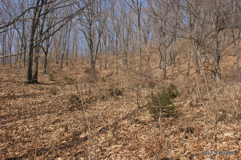 点击查看原图大小