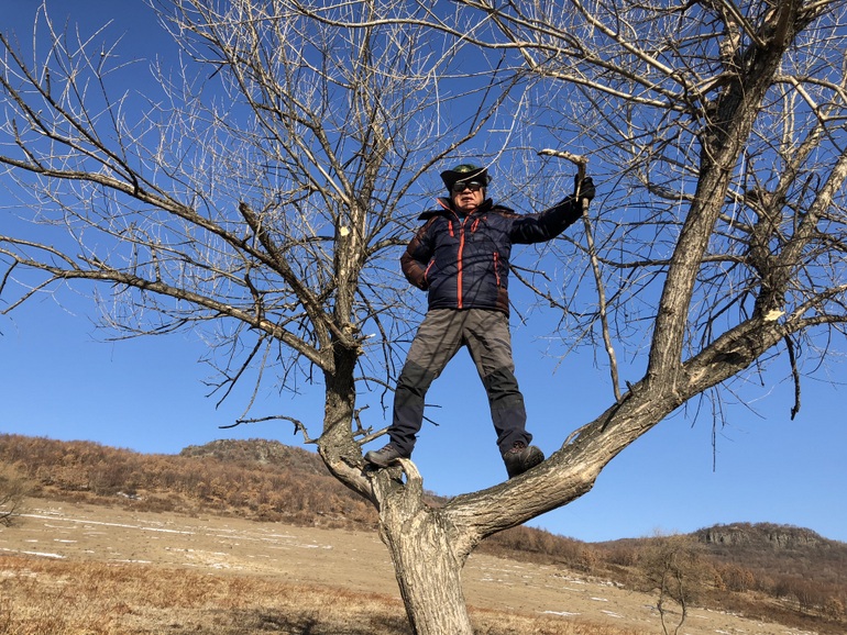 点击查看原图大小