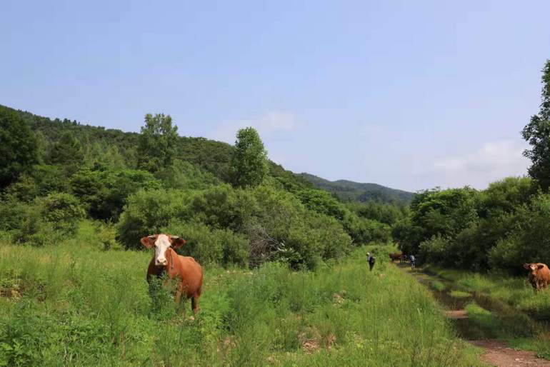 点击查看原图大小