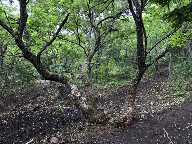 点击查看原图大小