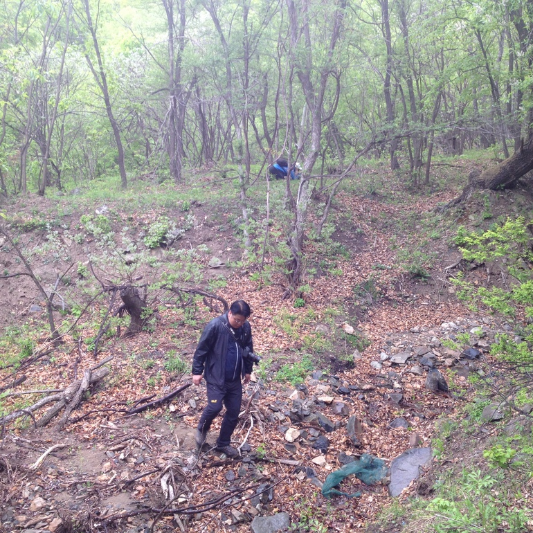 点击查看原图大小