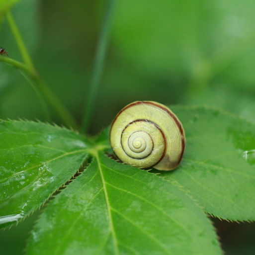 点击查看原图大小