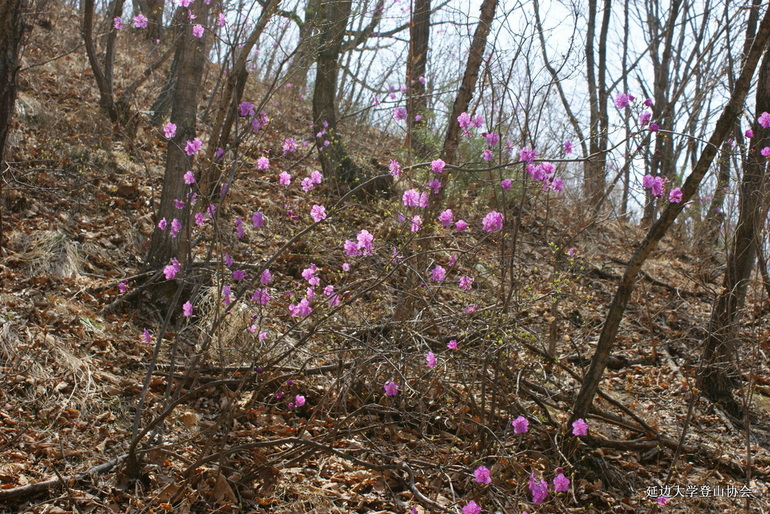 点击查看原图大小