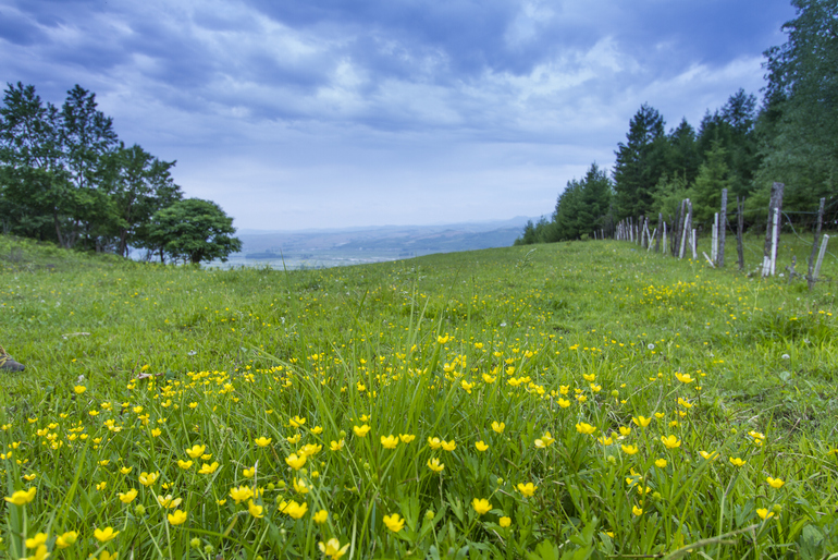 点击查看原图大小