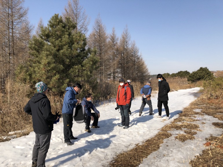 点击查看原图大小