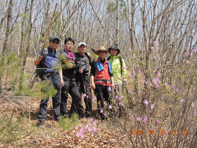 点击查看原图大小