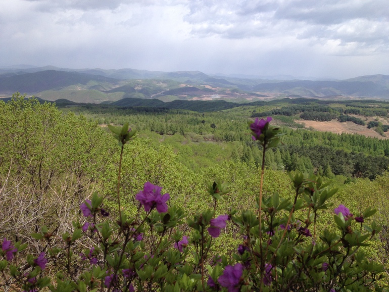 点击查看原图大小