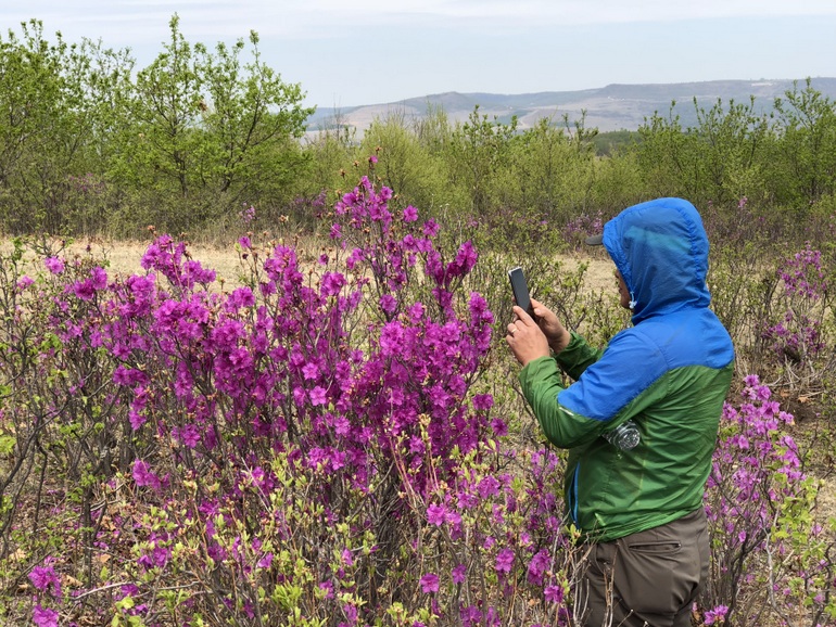 点击查看原图大小