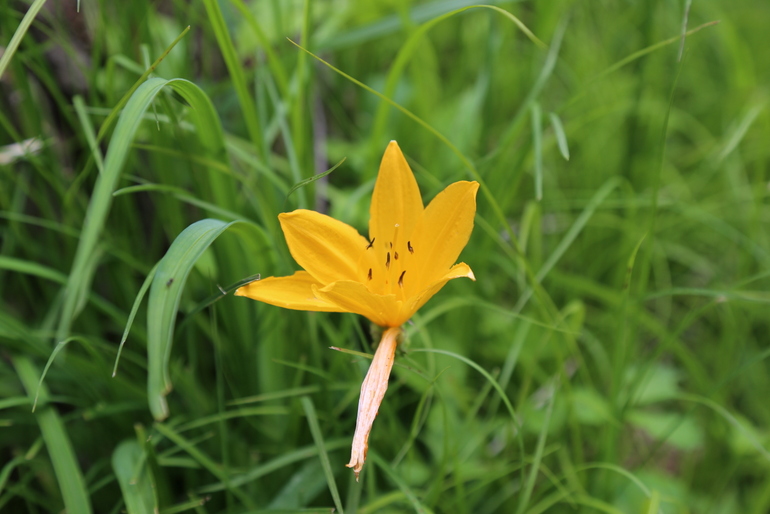 点击查看原图大小