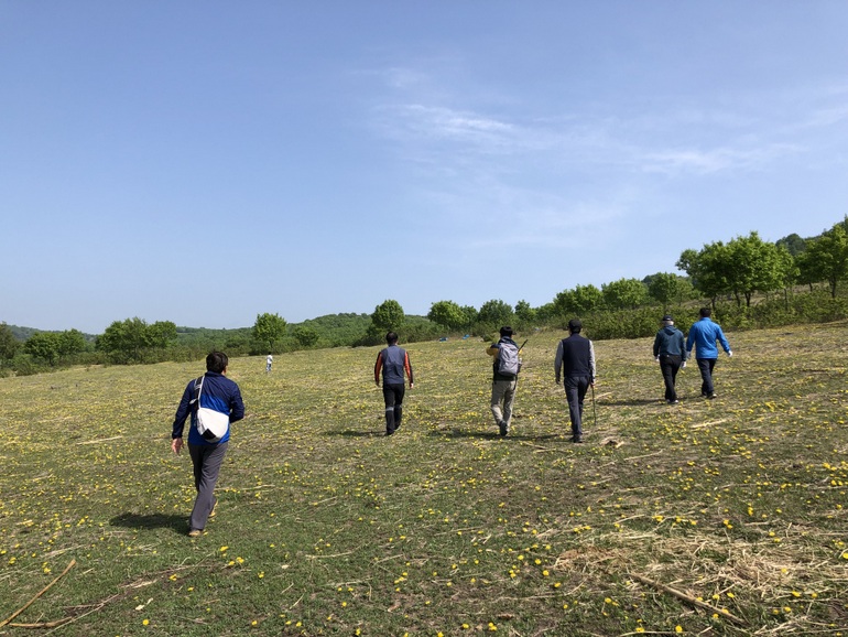 点击查看原图大小