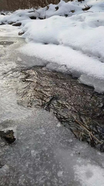 点击查看原图大小