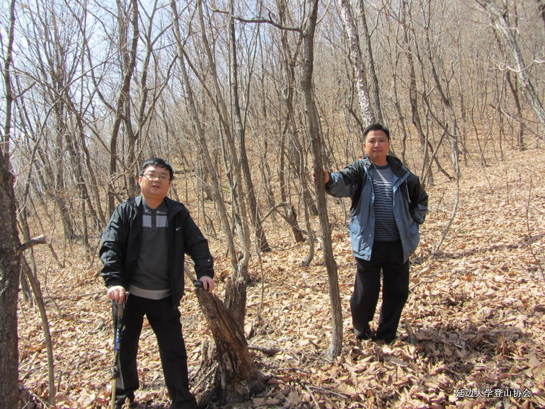 点击查看原图大小