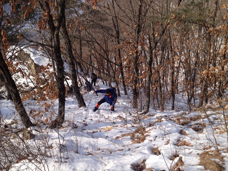点击查看原图大小