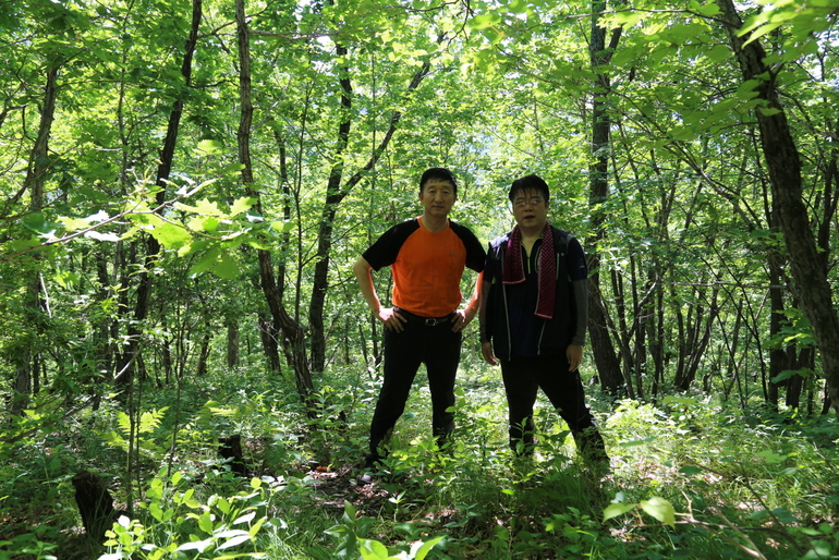 点击查看原图大小