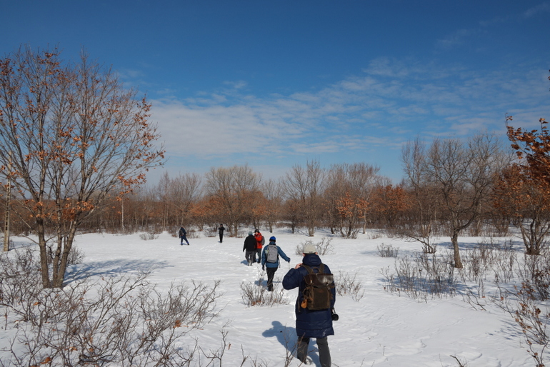 点击查看原图大小