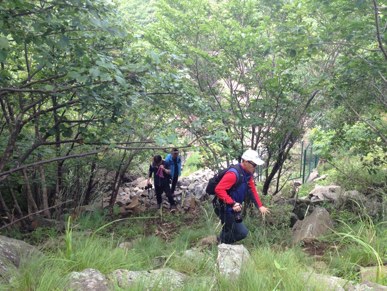 点击查看原图大小