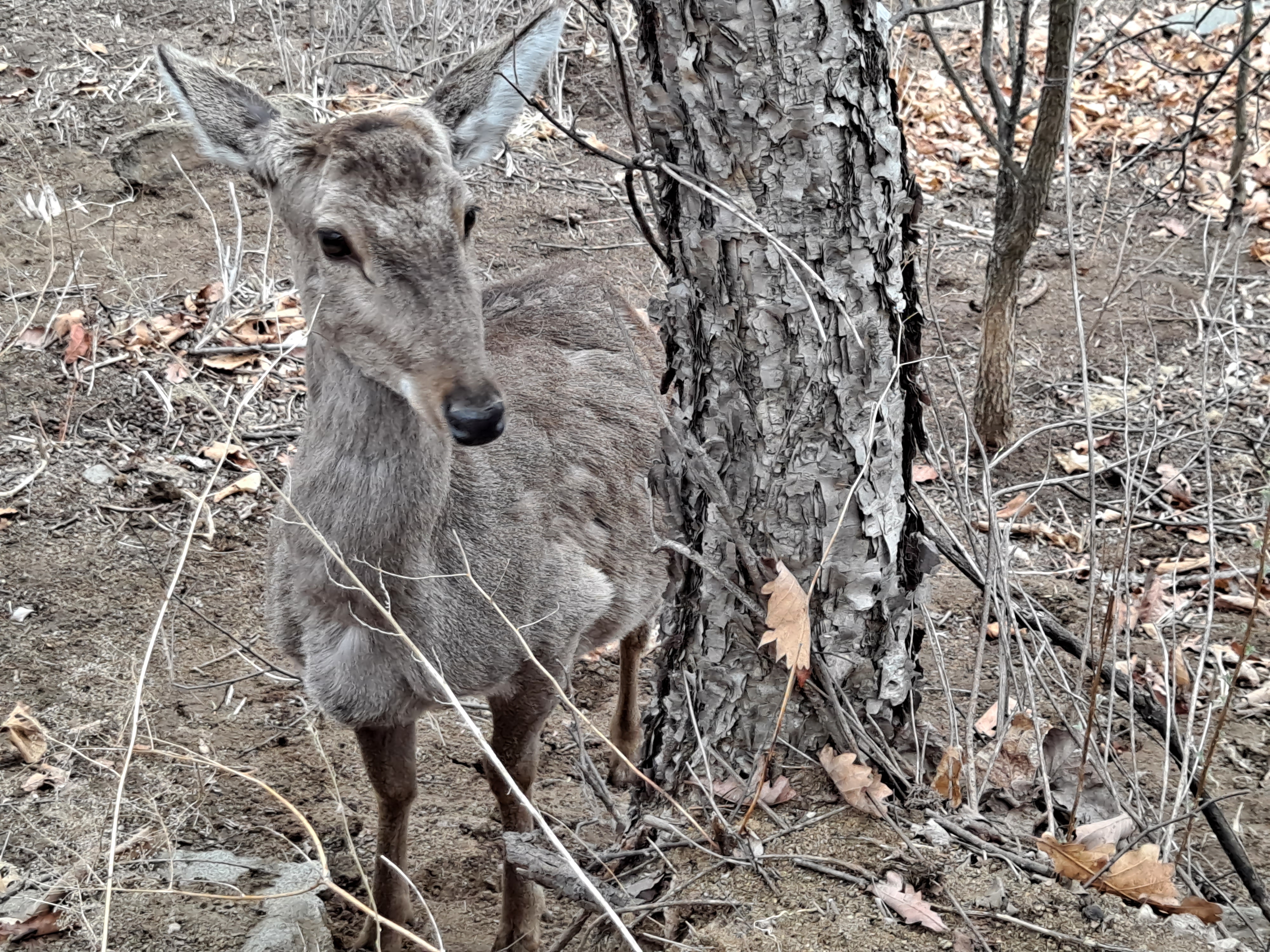 点击查看原图大小