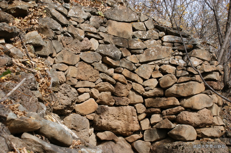 点击查看原图大小