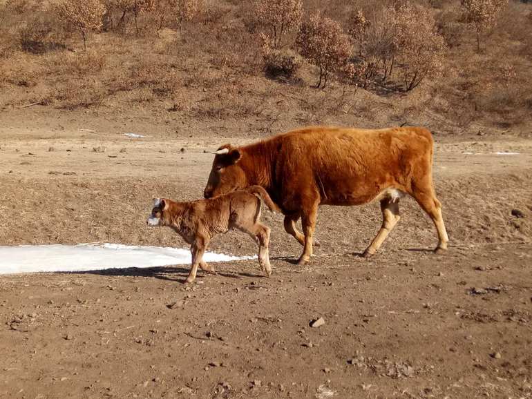 点击查看原图大小