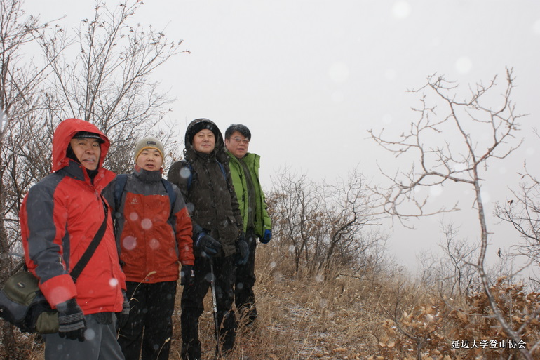 点击查看原图大小