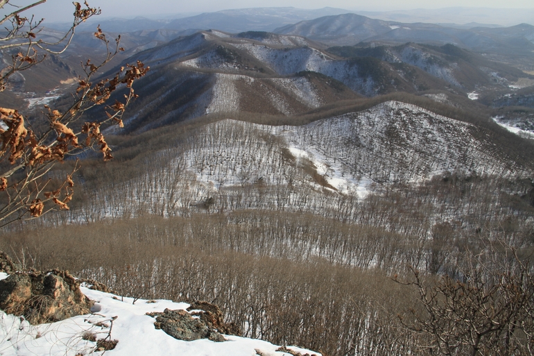 点击查看原图大小
