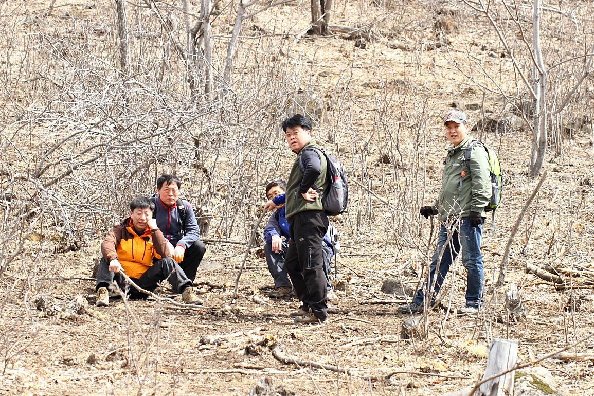点击查看原图大小