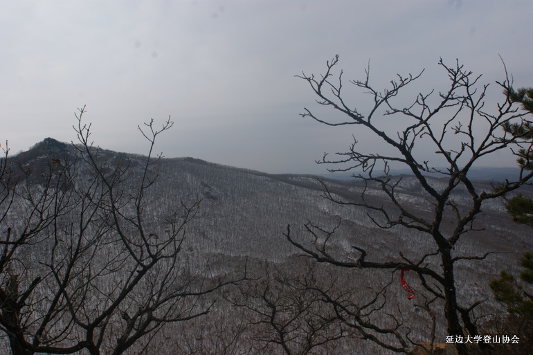 点击查看原图大小