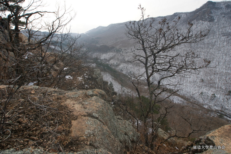 点击查看原图大小