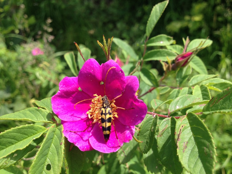 点击查看原图大小