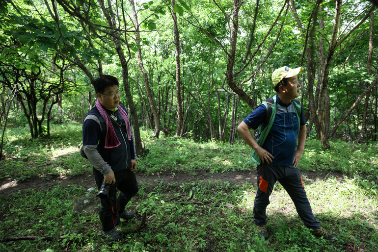 点击查看原图大小