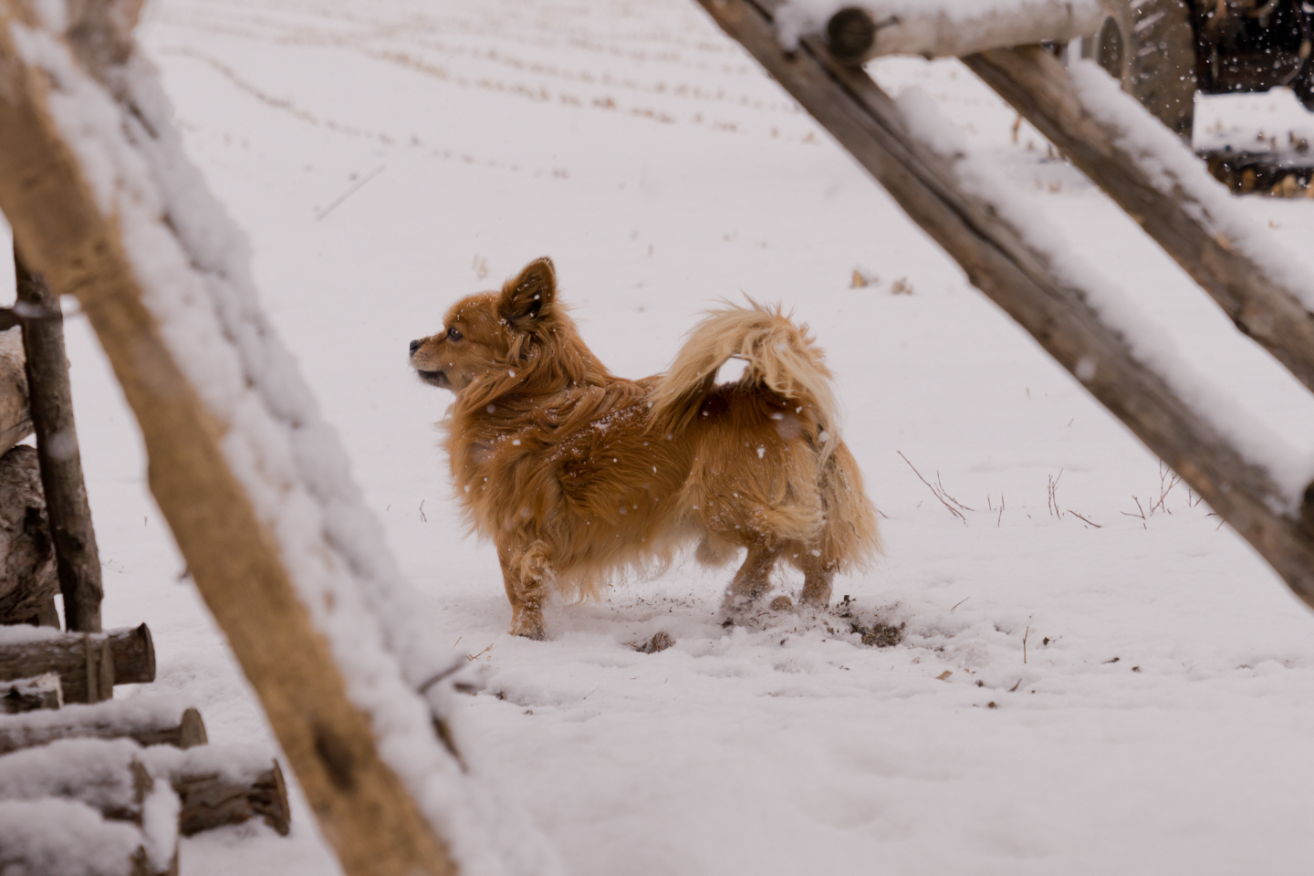 点击查看原图大小