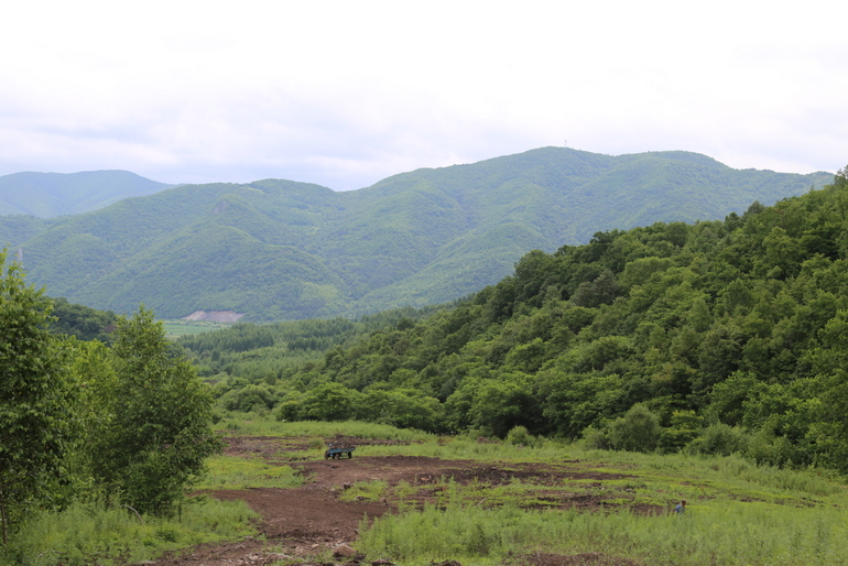 点击查看原图大小