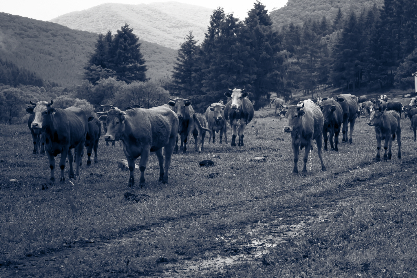 点击查看原图大小