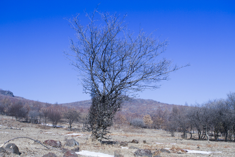 点击查看原图大小